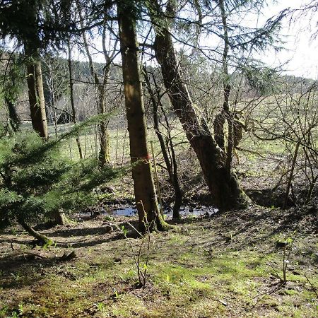 Ferienwohnung Wandervogel برونلاغ المظهر الخارجي الصورة