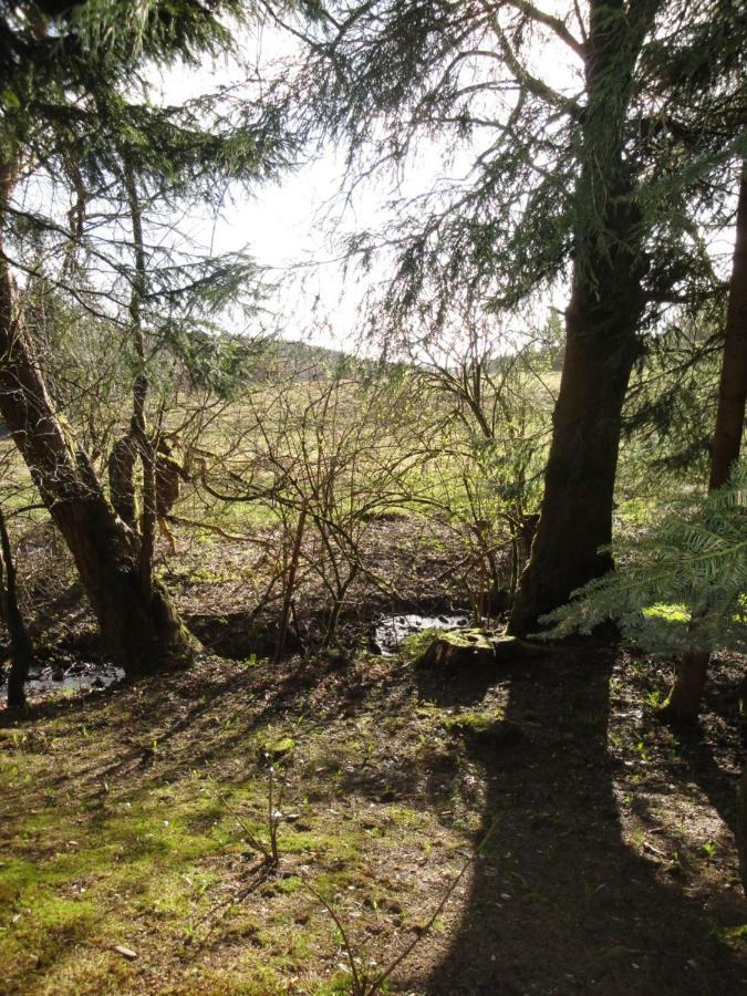Ferienwohnung Wandervogel برونلاغ المظهر الخارجي الصورة